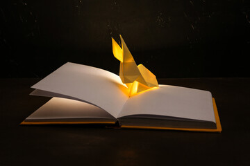 Open book with glowing light and origami figure on dark table