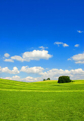 Fototapeta premium Meadow landscape with mown meadows, hay harvest, and blue sky with white clouds, near Lake Starnberg, Bavaria, Germany, Europe