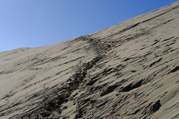 A close-up of the Pilat dune. The Pilat dune is the highest in Europe. La Teste-de-Buch, France -...