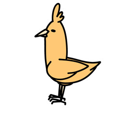 cute derpy yellow bird transparent background vector illustration