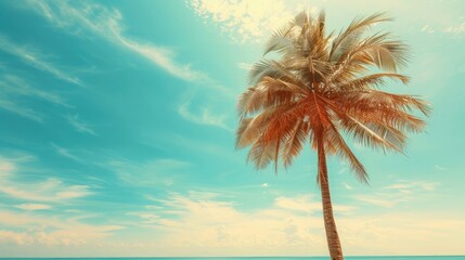 Fototapeta na wymiar Palm and tropical beach