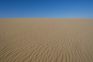 A close-up of the Pilat dune. The Pilat dune is the highest in Europe. La Teste-de-Buch, France - January 25, 2024.