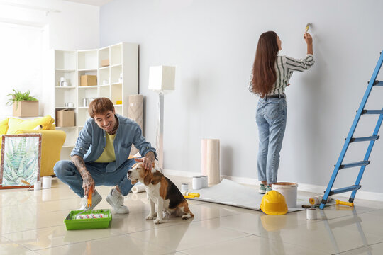 Young couple with Beagle dog painting light wall during repair in their new house