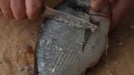 Hands scaling fresh fish with knife. Selective focus, close-up.