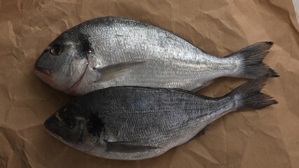 Top view of Fresh Fish on a paper-covered surface.