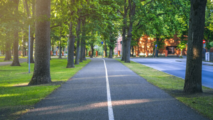 A road with trees and grass in summer day