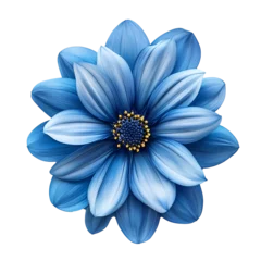 Fotobehang blue single flower on a transparent background isolate © VictoriaEmerson