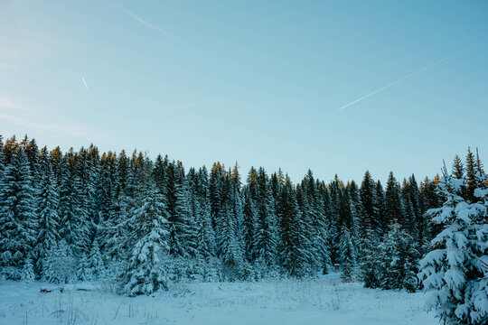 sunny mountains in winter in Europe 
