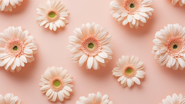 Pattern of peach gerbera flower on a peach background. Spring awakening concept. 