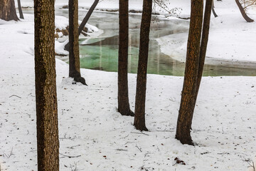 A clear stream meanders through tree trunks in a snowy park.