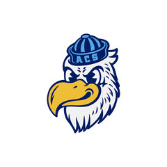 Eagle Hawks cartoon illustration