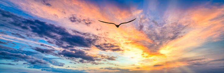 Sunset Bird Flying Soaring Inspiration Sky Uplifting Soaring Faith Hope Sunrise Banner Header