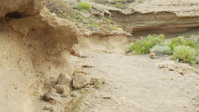 Young caucasian man tripping on stone while walking in Spanish nature