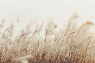 field wind grass moody wild peaceful landscape freedom scene beautiful nature wallpaper photo