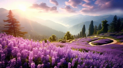 Wandaufkleber lavender field wind grass moody wild peaceful landscape freedom scene beautiful wallpaper photo © Wiktoria