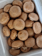 A lot of button mushrooms piled up.