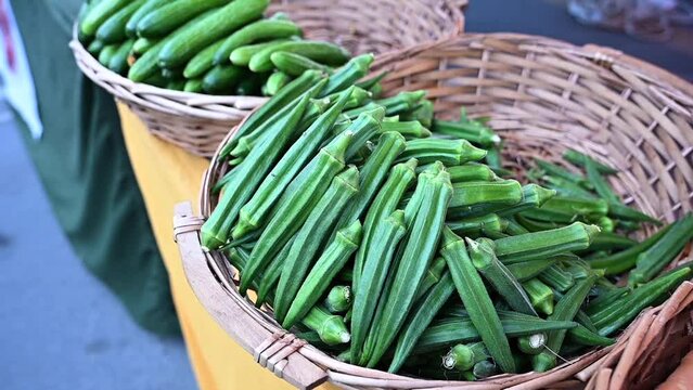 Locally grown 'okra' is showcased and offered for sale at the agriculture festival in the UAE