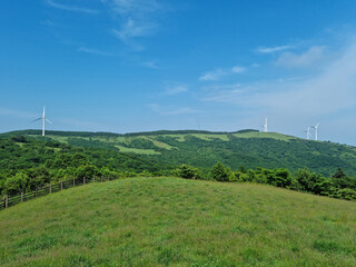 This is a landscape of a meadow with a wind turbine.