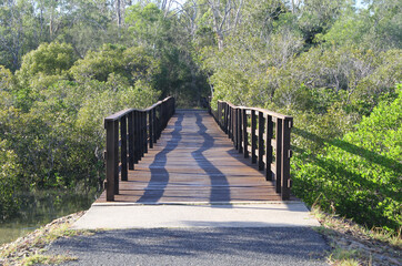 Wooden bridge boardwalk over a creek in a mangrove forest