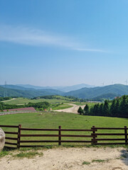 Fototapeta na wymiar This is the scenery of a sheep ranch in Korea.