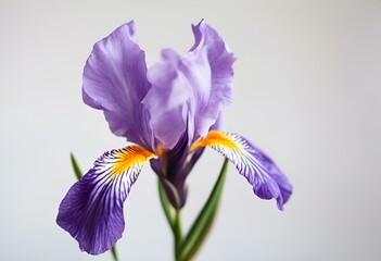 AI generated illustration of a purple flower in a vase on the countertop