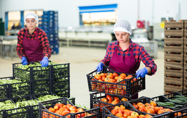 Portrait of two hardworking young women farmers working in the production of a vegetable depot