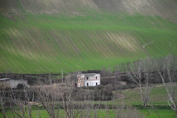 A dirt road leads to a two storey white and terracotta brick farmhouse and a shed. A steep green field, recently ploughed, is in the background. Bare trees are in the foreground.