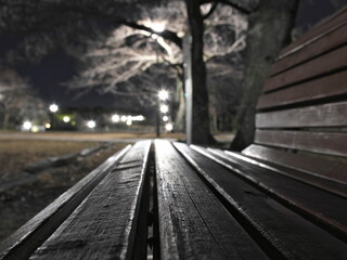 Tokyo, Japan - January 26, 2024: A bench in a park at dawn in Tokyo, Japan
