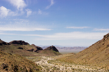 Desert in Arizona with green bushes and cacti on a sunny day with blue sky and white clouds. Nature...