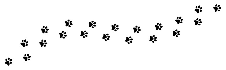 Paw foot trail print © ValGraphic