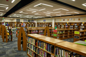 Organized Library Interior with Genre Bookshelves, Geometric Carpet, Eye-Level