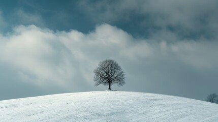 a single tree stood tall on the snow-covered hills