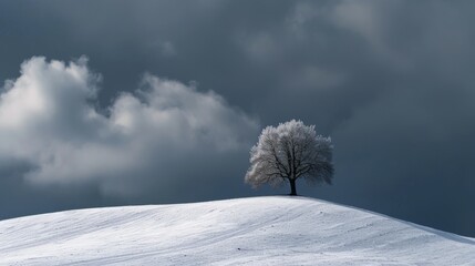 Fototapeta na wymiar a single tree stood tall on the snow-covered hills
