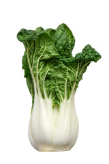 Fresh green whole bok choy vegetable isolated cutout on transparent