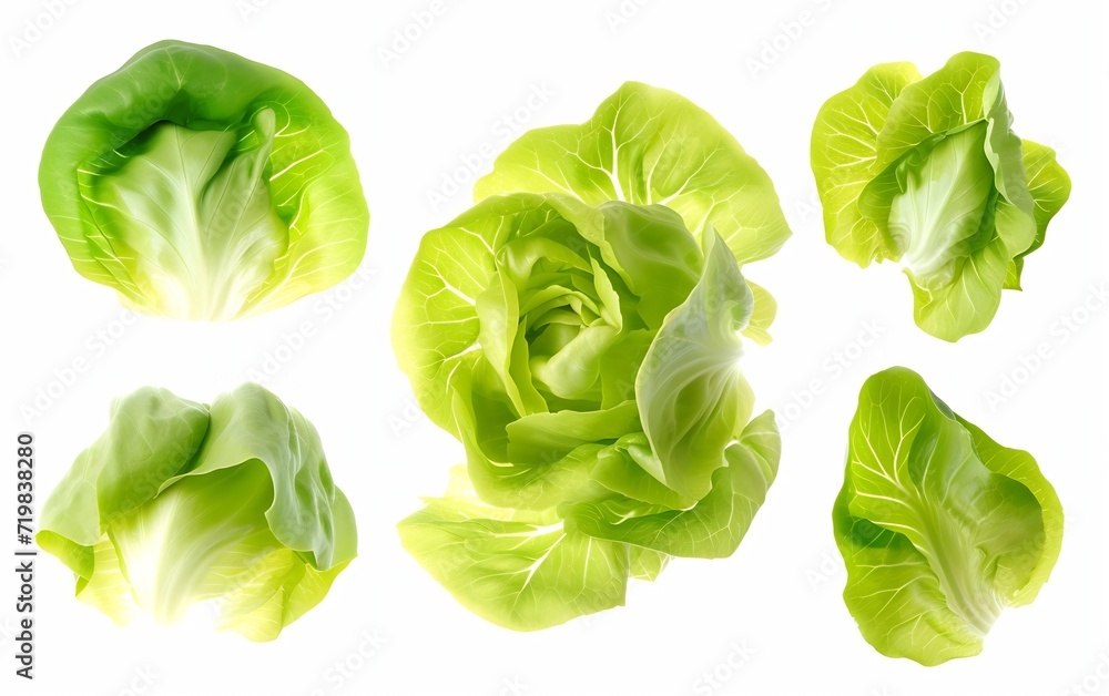 Poster Set with leaves of butter lettuce isolated on white : Generative AI