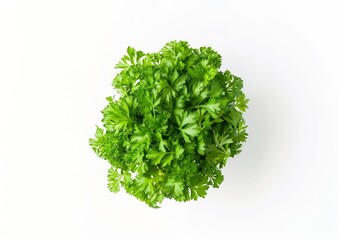 Obraz premium Parsley. Parsley isolated. Parsley on white. Top view. : Generative AI