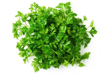 Obraz premium Parsley. Parsley isolated. Parsley on white. Top view. : Generative AI