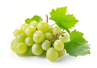Green grape with leaves isolated on white. Full depth of field. : Generative AI