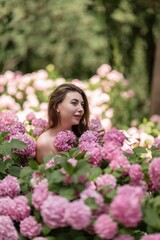 Fototapeta premium Hydrangeas Happy woman in pink dress amid hydrangeas. Large pink hydrangea caps surround woman. Sunny outdoor setting. Showcasing happy woman amid hydrangea bloom.