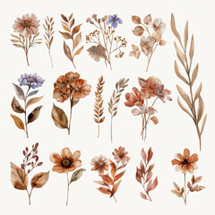 Aesthetic Brown Flower Watercolor