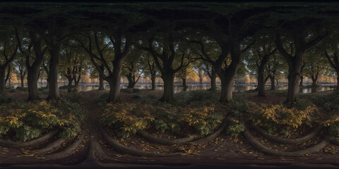 equirectangular panorama 360 degrees forest park trees