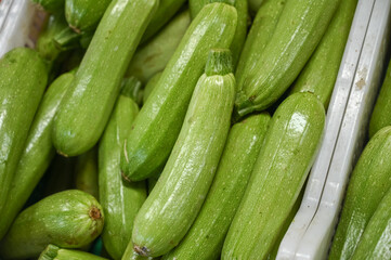 juicy zucchini at a local vegetable market in Cyprus 1