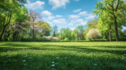 Fotobehang Beautiful blurred background image of spring nature with a neatly trimmed lawn surrounded by trees against a blue sky with clouds on a bright sunny day. copy space - generative ai © Nia™