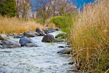Shirakawa river at public park in Kashimo city, Gifu, Japan.