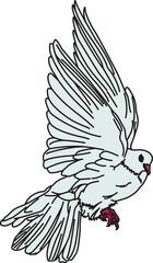 鳩（pigeon）(eps)