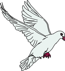 鳩（pigeon）(PNG)