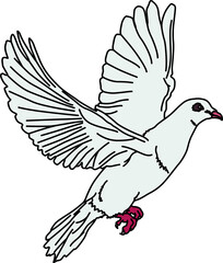 鳩（pigeon）(PNG)