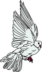 鳩（pigeon）(PNG)