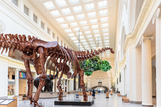 View of main lobby entrance in Field Natural History Museum in Chicago.
