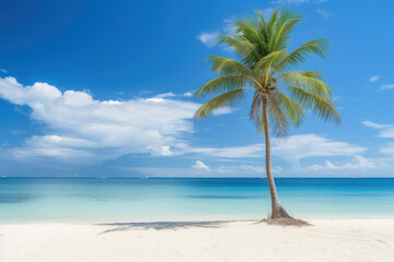 Fototapeta na wymiar Soothing beach scene with a lone palm tree, embodying tropical serenity - AI Generative.